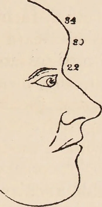 An illustration from Phrenology : how to read the head., 1890, leaf 61