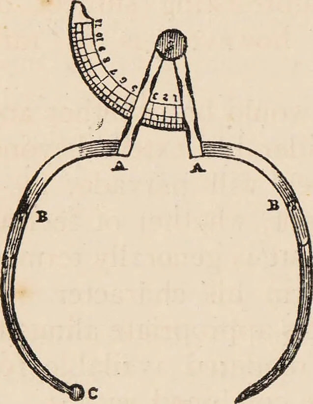 An illustration from Phrenology : how to read the head., 1890, leaf 64