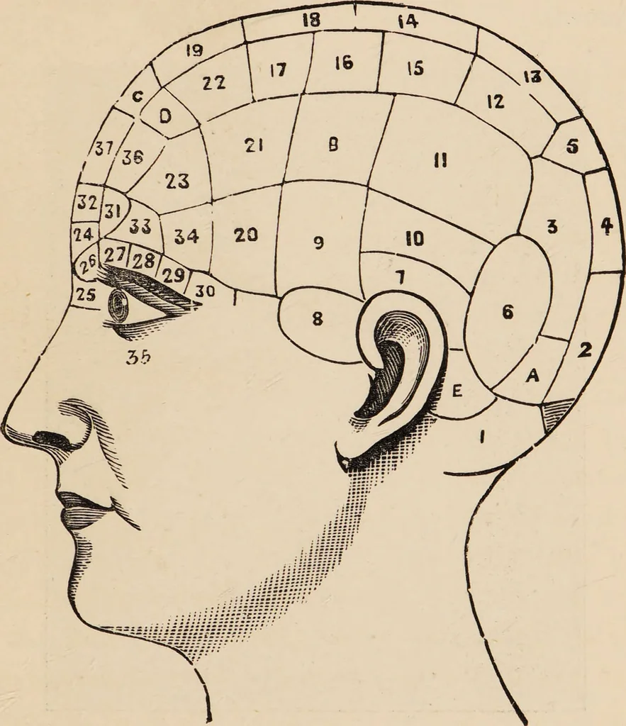 An illustration from Life of Dr. Franc̦ois Joseph Gall : craniologist and founder of phrenology / by Miss Jessie A. Fowler, F.A.I., co-editor of "The phrenological magazine"; "The phrenological dictionary"; and "Phrenology proved"., 1896, leaf 37