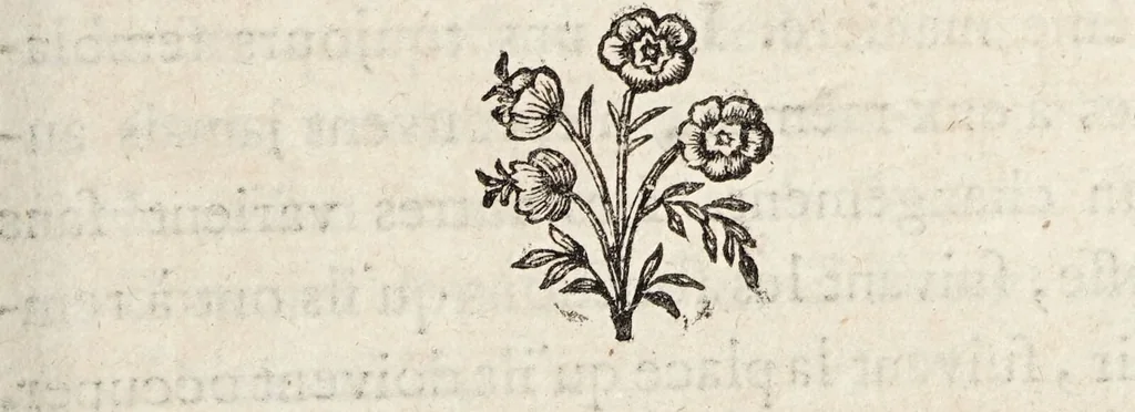 An illustration from Histoire naturelle de la parole, ou, Précis de l'origine du langage & de la grammaire universelle : extrait du Monde primitif / par M. Court de Gébelin., 1776, leaf 283