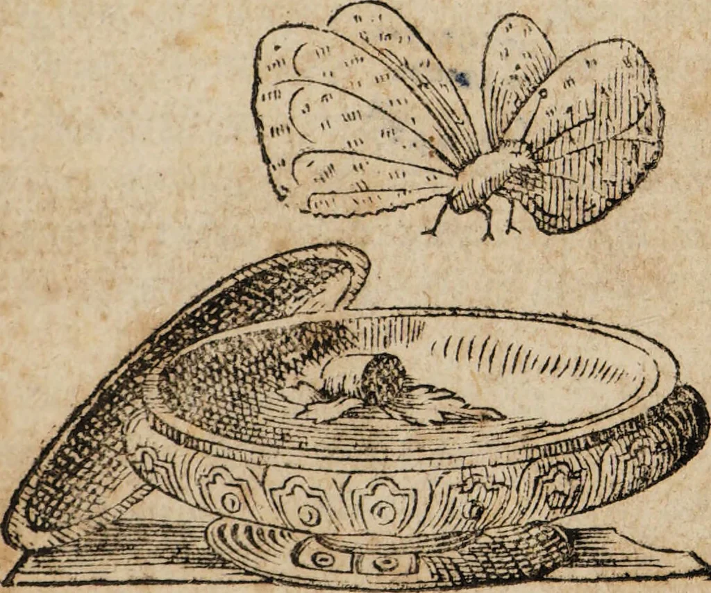 An illustration from De magia liber / [Anton de Haën]., 1775, leaf 5