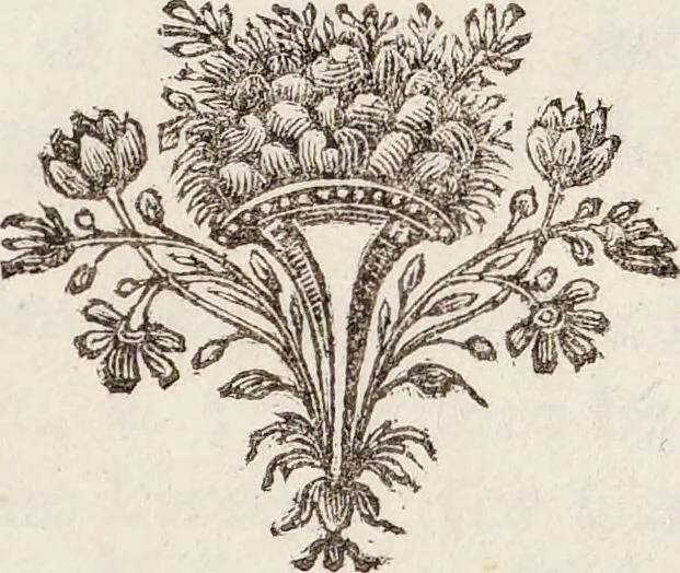 An illustration from Gleanings of antiquities / By John Beaumont, Gent., 1724, leaf 201