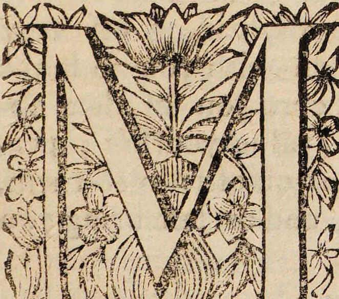 An illustration from A history of the ridiculous extravagancies of Monsieur Oufle / occasioned by his reading books treating of magick, the black art, dæmoniacks, conjurers, of elves, fairies, of dreams, the philosopher's-stone, judicial astrology, with notes containing a multitude of quotations out of those books, which have either caused such extravagant imaginations, or may serve to cure them. Written originally in French, by the Abbot B-----, and now tr. into English., 1711, leaf 179