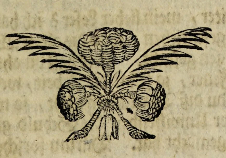 An illustration from Herrn Georgii von Welling Opus mago-cabbalisticum et theosophicum. Darinnen der Ursprung, Natur, Eigenschafften und Gebrauch des Saltzes, Schwefels und Mercurii, in dreyen Theilen beschrieben, und nebst sehr vielen sonderbahren mathematischen, theosophischen, magischen und mystischen Materien, auch die Erzeugung der Metallen und Mineralien, aus dem Grunde der Natur erwiesen wird; samt dem Haupt-Schlüssel des gantzen Wercks, und vielen curieusen mago-cabbalistischen Figuren : Deme noch beygefüget: ein Tractätlein von der Göttlichen Weissheit; und ein besonderer Anhang etlicher sehr rar- und kostbahrer chymischer Piecen / Nunmehro das erstemahl also zusammen zum Druck befördert von einem Liebhaber Göttlicher und natürlicher Geheimnüsse [C.S]., 1735, leaf 597