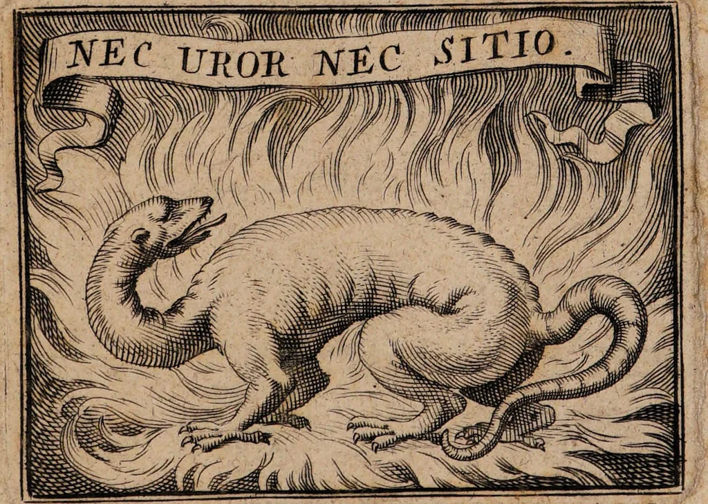 An illustration from Traité de la poudre de projection, divisé en deux lettres. Analyse tirée de l'Ecriture Sainte. Moiens pour parvenir à la poudre de projection par l'humide substantiel premier principe., 1707, leaf 5