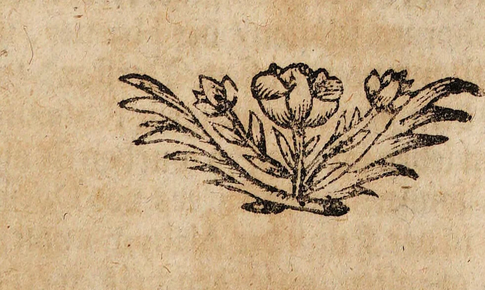 An illustration from Bibliotheca chemico-curiosa, D. Mangeti enucleata ac illustrata. Das ist: Kern und Stern, der vornehmsten chymisch-philosophischen Schrifften, die in D. Mangeti Bibliotheca chemico-curiosa befindlich seynd ... / abegetheilet und heraus gegeben durch Conrad. Horlachern., 1707, leaf 127