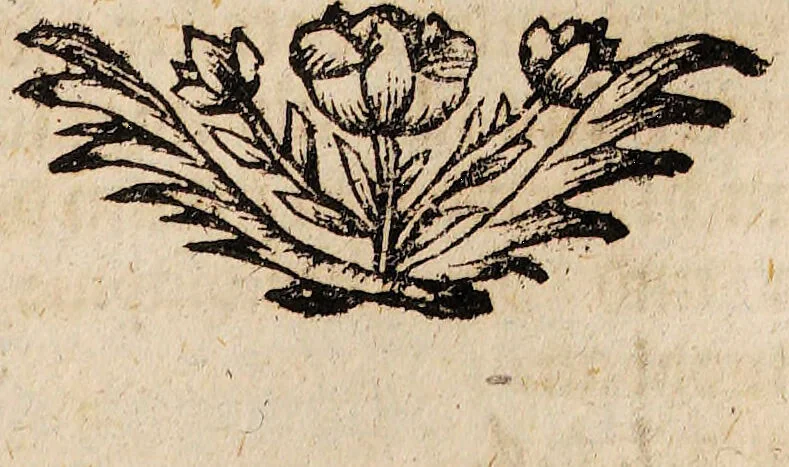 An illustration from Bibliotheca chemico-curiosa, D. Mangeti enucleata ac illustrata. Das ist: Kern und Stern, der vornehmsten chymisch-philosophischen Schrifften, die in D. Mangeti Bibliotheca chemico-curiosa befindlich seynd ... / abegetheilet und heraus gegeben durch Conrad. Horlachern., 1707, leaf 211