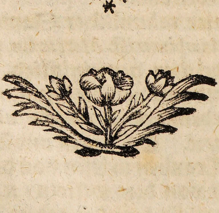An illustration from Bibliotheca chemico-curiosa, D. Mangeti enucleata ac illustrata. Das ist: Kern und Stern, der vornehmsten chymisch-philosophischen Schrifften, die in D. Mangeti Bibliotheca chemico-curiosa befindlich seynd ... / abegetheilet und heraus gegeben durch Conrad. Horlachern., 1707, leaf 372