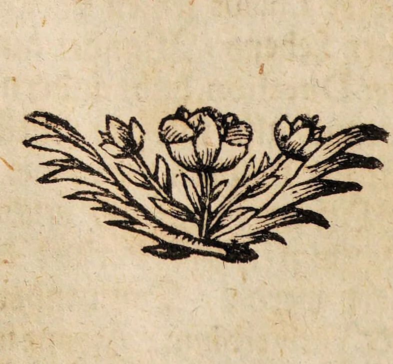 An illustration from Bibliotheca chemico-curiosa, D. Mangeti enucleata ac illustrata. Das ist: Kern und Stern, der vornehmsten chymisch-philosophischen Schrifften, die in D. Mangeti Bibliotheca chemico-curiosa befindlich seynd ... / abegetheilet und heraus gegeben durch Conrad. Horlachern., 1707, leaf 98