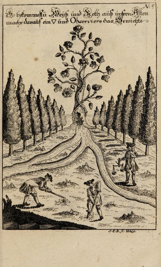 An illustration from R. Abrahami Eleazaris Uraltes chymisches Werk, welches ehedessen von dem Autore Theils in lateinischer und arabischer, Theils auch in chaldäischer und syrischer Sprache geschrieben, nachmahls von einem Anonymo in unsere deutsche Muttersprache übersetzet. Nun aber nebst zugehörigen Kupfern, Figuren ... ingleichen einigen philosophischen Regeln von dem Steine der Weisen zu Nutz und Gebrauch aller Liebhaber der edlen Hermetischen Philosophie, in II. Theilen zum öffentlichen Druck befördert worden durch Iulium Gervasium Schwartzburgicum, P. M. & I. P. E / [Abraham Eleazar]., 1760, leaf 303