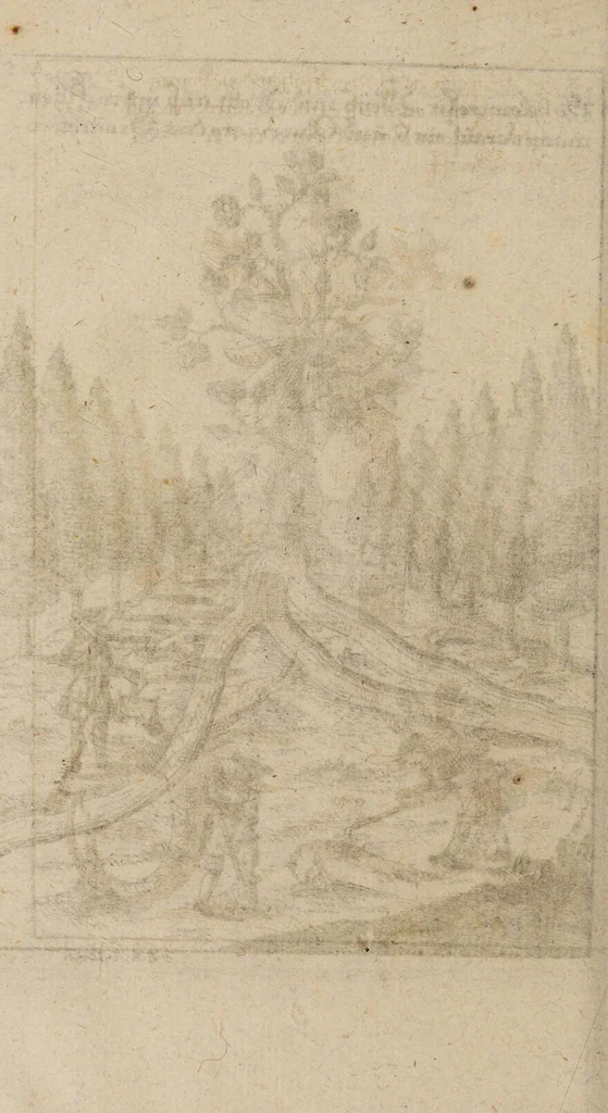 An illustration from R. Abrahami Eleazaris Uraltes chymisches Werk, welches ehedessen von dem Autore Theils in lateinischer und arabischer, Theils auch in chaldäischer und syrischer Sprache geschrieben, nachmahls von einem Anonymo in unsere deutsche Muttersprache übersetzet. Nun aber nebst zugehörigen Kupfern, Figuren ... ingleichen einigen philosophischen Regeln von dem Steine der Weisen zu Nutz und Gebrauch aller Liebhaber der edlen Hermetischen Philosophie, in II. Theilen zum öffentlichen Druck befördert worden durch Iulium Gervasium Schwartzburgicum, P. M. & I. P. E / [Abraham Eleazar]., 1760, leaf 304