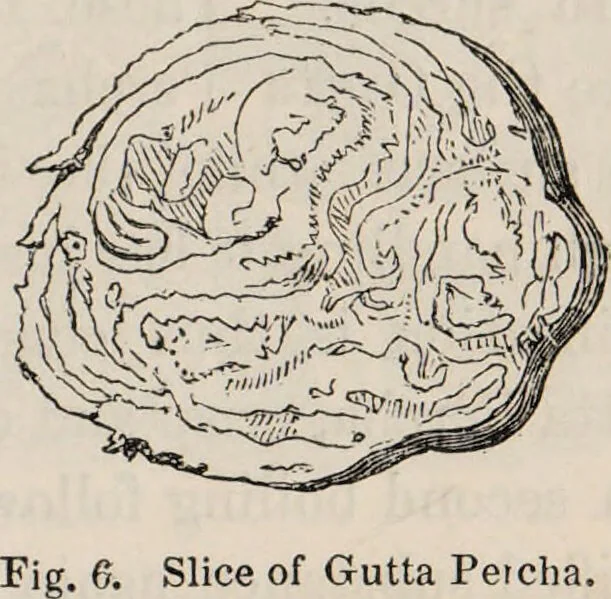 An illustration from Gutta percha, its discovery, history, and manifold uses., 1851, leaf 13