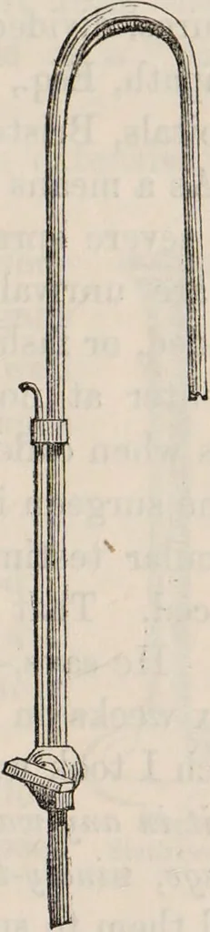 An illustration from Gutta percha, its discovery, history, and manifold uses., 1851, leaf 31