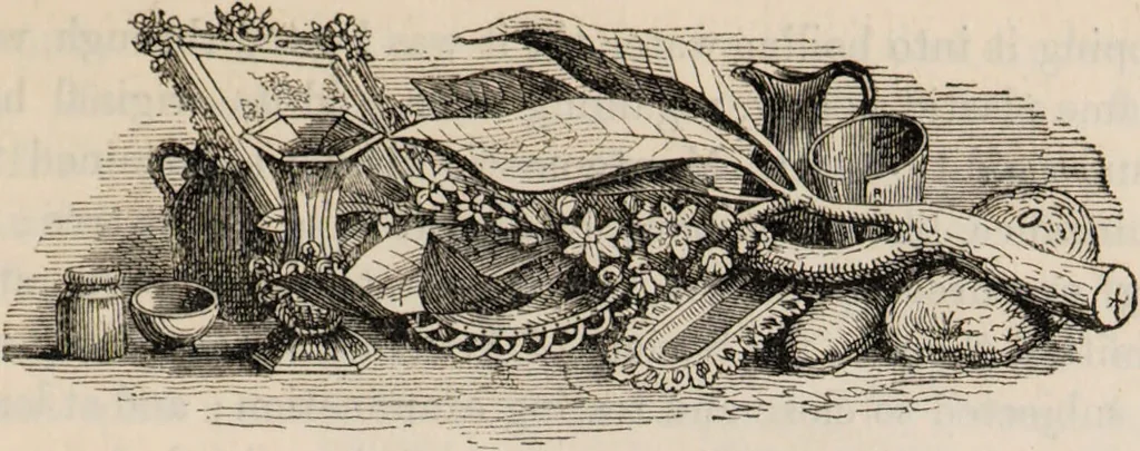 An illustration from Gutta percha, its discovery, history, and manifold uses., 1851, leaf 7