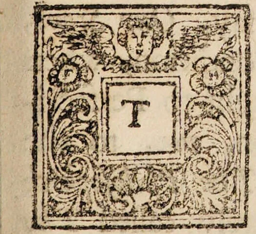 An illustration from The Hermetical triumph: or, the victorious philosophical stone. A treatise ... concerning the Hermetical magistery / Translated from the French[of A.T. Limojon de Saint-Didier]. To which is added, the ancient war of the knights. Translated from the German original. As also, some annotations upon the most material points, where the two translations differ. Done from a German edition., 1723, leaf 197
