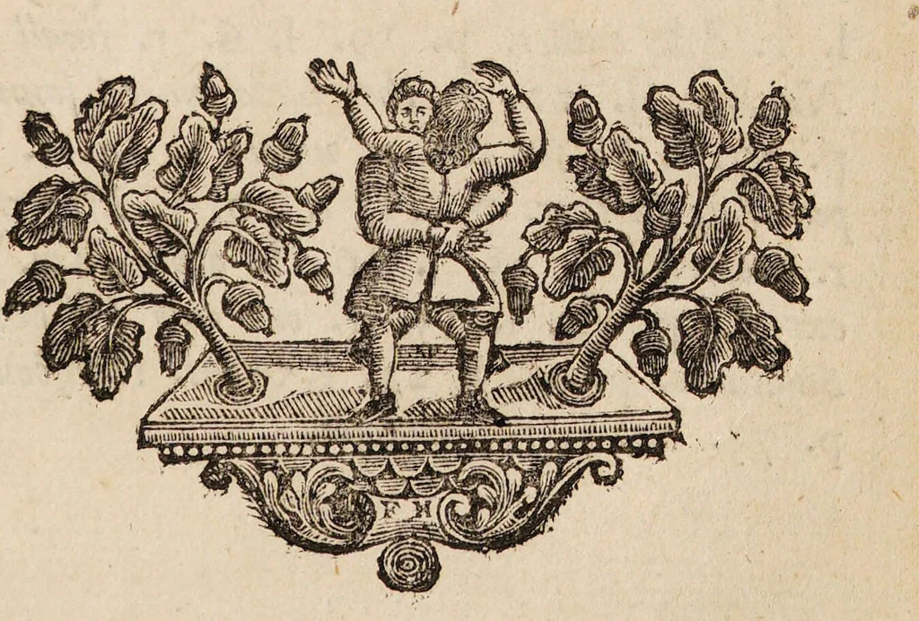 An illustration from The Hermetical triumph: or, the victorious philosophical stone. A treatise ... concerning the Hermetical magistery / Translated from the French[of A.T. Limojon de Saint-Didier]. To which is added, the ancient war of the knights. Translated from the German original. As also, some annotations upon the most material points, where the two translations differ. Done from a German edition., 1723, leaf 215