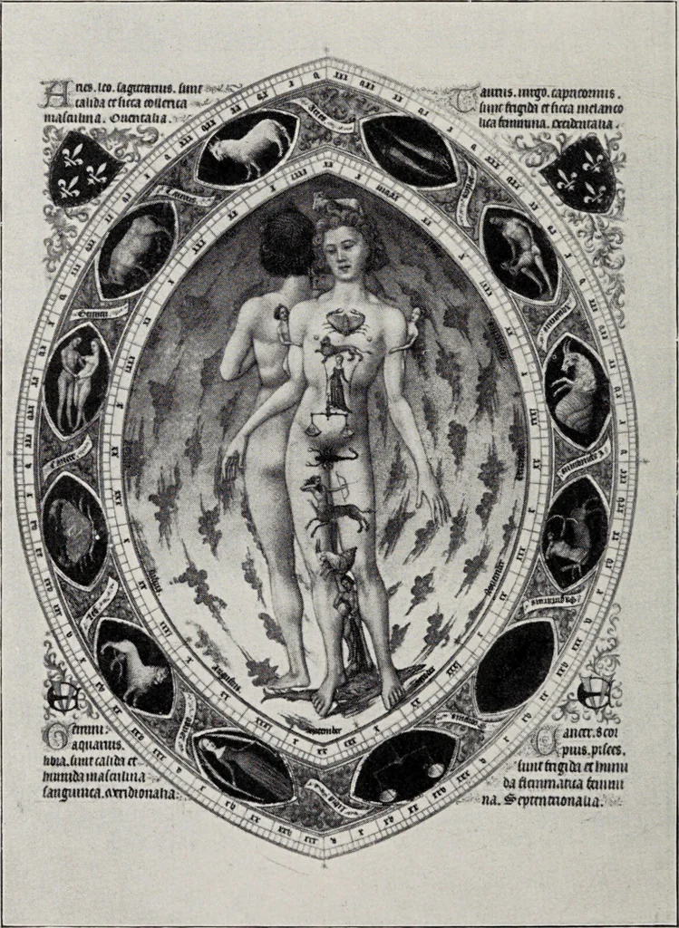 An illustration from Sternglaube und Sterndeutung : die Geschichte und das Wesen der Astrologie / unter Mitwirkung von Carl Bezold dargestellt von Franz Boll., 1926, leaf 238