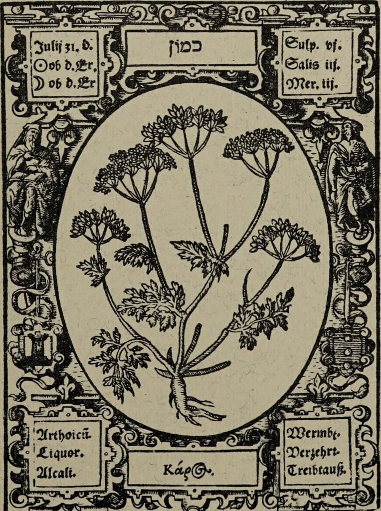 An illustration from Historia unnd Beschreibung Influentischer, Elementischer und Natürlicher Wirckungen, aller fremden unnd heimischen Erdgewechssen : auch irer Subtiliteten, sampt Warhasstiger und künstlicher Conterfeitung derselbigen, auch aller teiler, Innerlicher und eüfferlicher glider am menschlichen Cörper, nebend fürbildung aller zu der Extraction dienstlichen Instrumenten, auch deren gebrauch, und alle zu erhaltung der gesundheit notwendigen Processen gemeiné nutz zu gut / durch Leonhardt Thurneysser zum Tuhrn., 1922, leaf 101