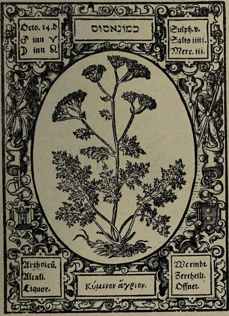 An illustration from Historia unnd Beschreibung Influentischer, Elementischer und Natürlicher Wirckungen, aller fremden unnd heimischen Erdgewechssen : auch irer Subtiliteten, sampt Warhasstiger und künstlicher Conterfeitung derselbigen, auch aller teiler, Innerlicher und eüfferlicher glider am menschlichen Cörper, nebend fürbildung aller zu der Extraction dienstlichen Instrumenten, auch deren gebrauch, und alle zu erhaltung der gesundheit notwendigen Processen gemeiné nutz zu gut / durch Leonhardt Thurneysser zum Tuhrn., 1922, leaf 105