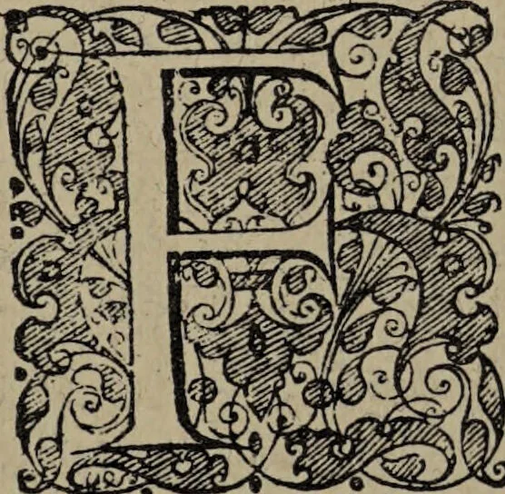 An illustration from Historia unnd Beschreibung Influentischer, Elementischer und Natürlicher Wirckungen, aller fremden unnd heimischen Erdgewechssen : auch irer Subtiliteten, sampt Warhasstiger und künstlicher Conterfeitung derselbigen, auch aller teiler, Innerlicher und eüfferlicher glider am menschlichen Cörper, nebend fürbildung aller zu der Extraction dienstlichen Instrumenten, auch deren gebrauch, und alle zu erhaltung der gesundheit notwendigen Processen gemeiné nutz zu gut / durch Leonhardt Thurneysser zum Tuhrn., 1922, leaf 12