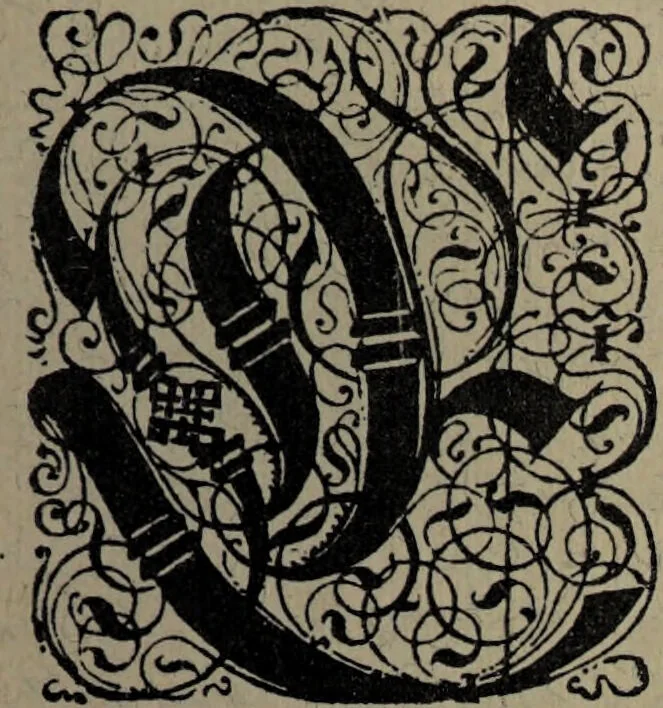 An illustration from Historia unnd Beschreibung Influentischer, Elementischer und Natürlicher Wirckungen, aller fremden unnd heimischen Erdgewechssen : auch irer Subtiliteten, sampt Warhasstiger und künstlicher Conterfeitung derselbigen, auch aller teiler, Innerlicher und eüfferlicher glider am menschlichen Cörper, nebend fürbildung aller zu der Extraction dienstlichen Instrumenten, auch deren gebrauch, und alle zu erhaltung der gesundheit notwendigen Processen gemeiné nutz zu gut / durch Leonhardt Thurneysser zum Tuhrn., 1922, leaf 13