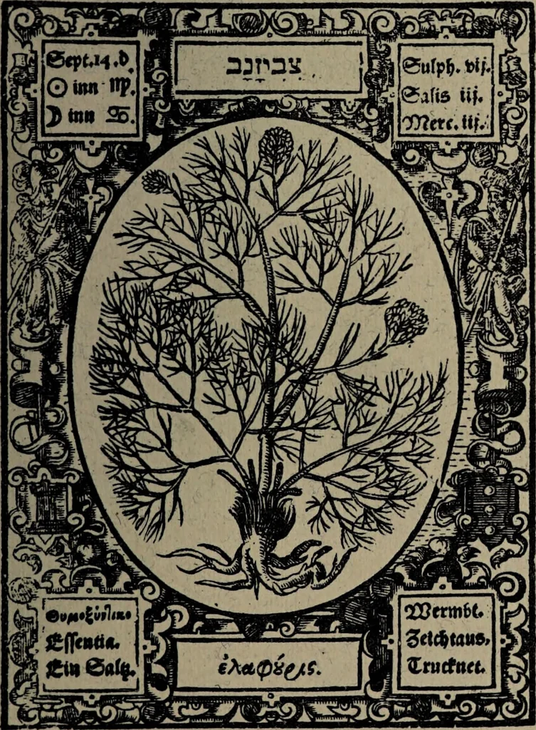 An illustration from Historia unnd Beschreibung Influentischer, Elementischer und Natürlicher Wirckungen, aller fremden unnd heimischen Erdgewechssen : auch irer Subtiliteten, sampt Warhasstiger und künstlicher Conterfeitung derselbigen, auch aller teiler, Innerlicher und eüfferlicher glider am menschlichen Cörper, nebend fürbildung aller zu der Extraction dienstlichen Instrumenten, auch deren gebrauch, und alle zu erhaltung der gesundheit notwendigen Processen gemeiné nutz zu gut / durch Leonhardt Thurneysser zum Tuhrn., 1922, leaf 137