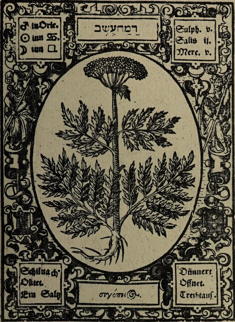 An illustration from Historia unnd Beschreibung Influentischer, Elementischer und Natürlicher Wirckungen, aller fremden unnd heimischen Erdgewechssen : auch irer Subtiliteten, sampt Warhasstiger und künstlicher Conterfeitung derselbigen, auch aller teiler, Innerlicher und eüfferlicher glider am menschlichen Cörper, nebend fürbildung aller zu der Extraction dienstlichen Instrumenten, auch deren gebrauch, und alle zu erhaltung der gesundheit notwendigen Processen gemeiné nutz zu gut / durch Leonhardt Thurneysser zum Tuhrn., 1922, leaf 161