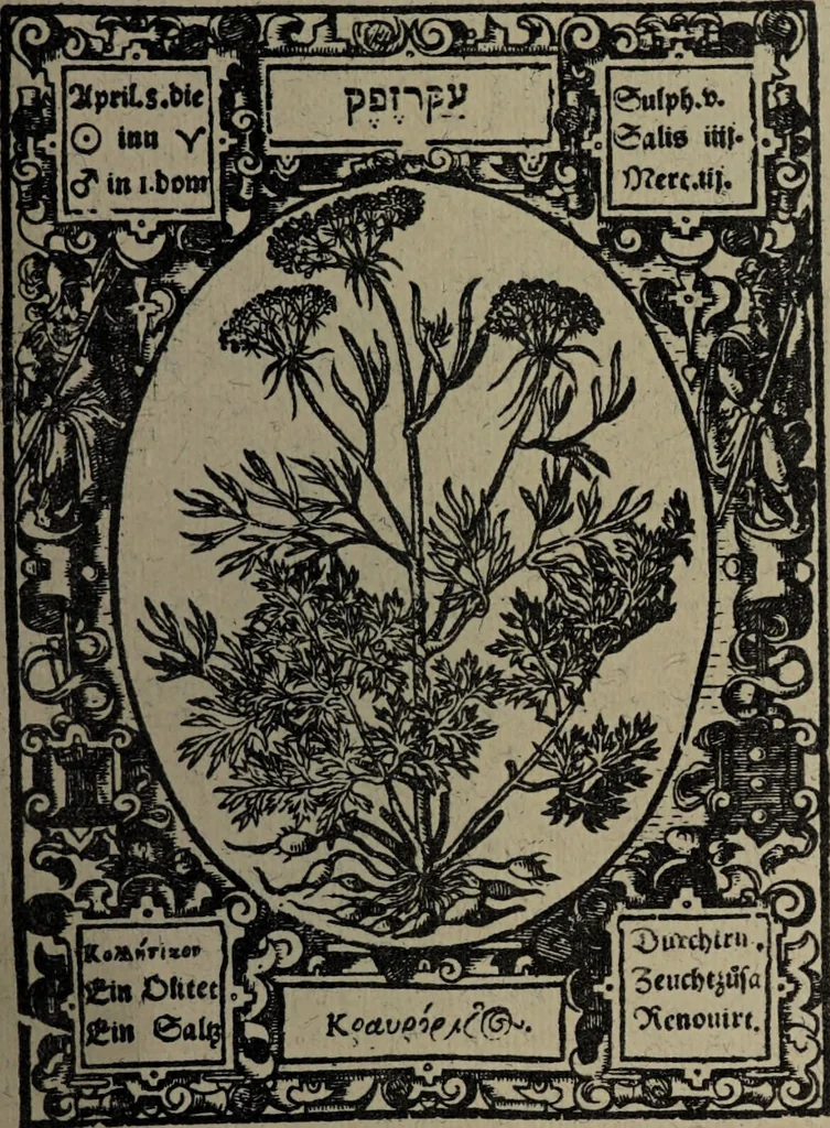 An illustration from Historia unnd Beschreibung Influentischer, Elementischer und Natürlicher Wirckungen, aller fremden unnd heimischen Erdgewechssen : auch irer Subtiliteten, sampt Warhasstiger und künstlicher Conterfeitung derselbigen, auch aller teiler, Innerlicher und eüfferlicher glider am menschlichen Cörper, nebend fürbildung aller zu der Extraction dienstlichen Instrumenten, auch deren gebrauch, und alle zu erhaltung der gesundheit notwendigen Processen gemeiné nutz zu gut / durch Leonhardt Thurneysser zum Tuhrn., 1922, leaf 165