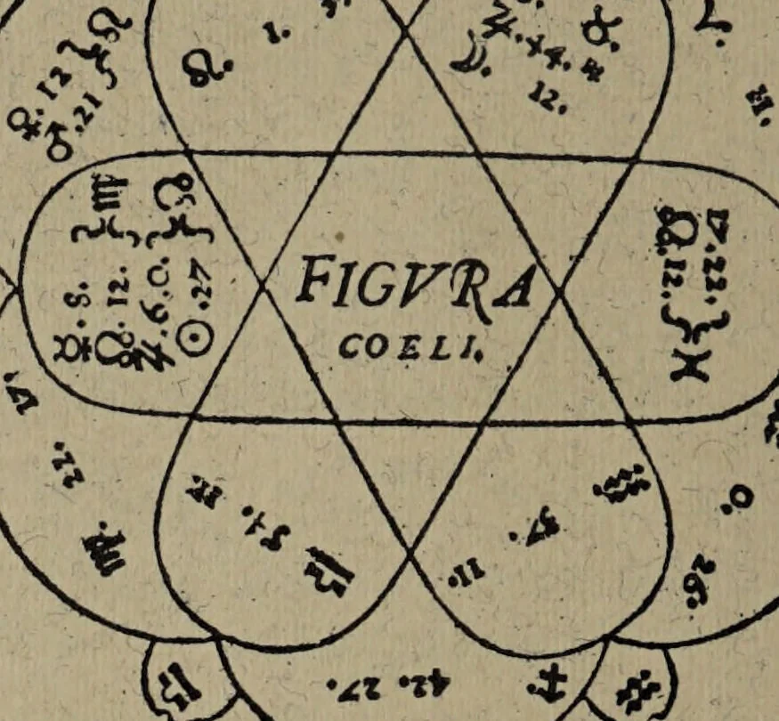 An illustration from Historia unnd Beschreibung Influentischer, Elementischer und Natürlicher Wirckungen, aller fremden unnd heimischen Erdgewechssen : auch irer Subtiliteten, sampt Warhasstiger und künstlicher Conterfeitung derselbigen, auch aller teiler, Innerlicher und eüfferlicher glider am menschlichen Cörper, nebend fürbildung aller zu der Extraction dienstlichen Instrumenten, auch deren gebrauch, und alle zu erhaltung der gesundheit notwendigen Processen gemeiné nutz zu gut / durch Leonhardt Thurneysser zum Tuhrn., 1922, leaf 172
