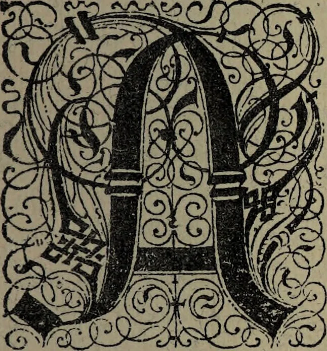 An illustration from Historia unnd Beschreibung Influentischer, Elementischer und Natürlicher Wirckungen, aller fremden unnd heimischen Erdgewechssen : auch irer Subtiliteten, sampt Warhasstiger und künstlicher Conterfeitung derselbigen, auch aller teiler, Innerlicher und eüfferlicher glider am menschlichen Cörper, nebend fürbildung aller zu der Extraction dienstlichen Instrumenten, auch deren gebrauch, und alle zu erhaltung der gesundheit notwendigen Processen gemeiné nutz zu gut / durch Leonhardt Thurneysser zum Tuhrn., 1922, leaf 19