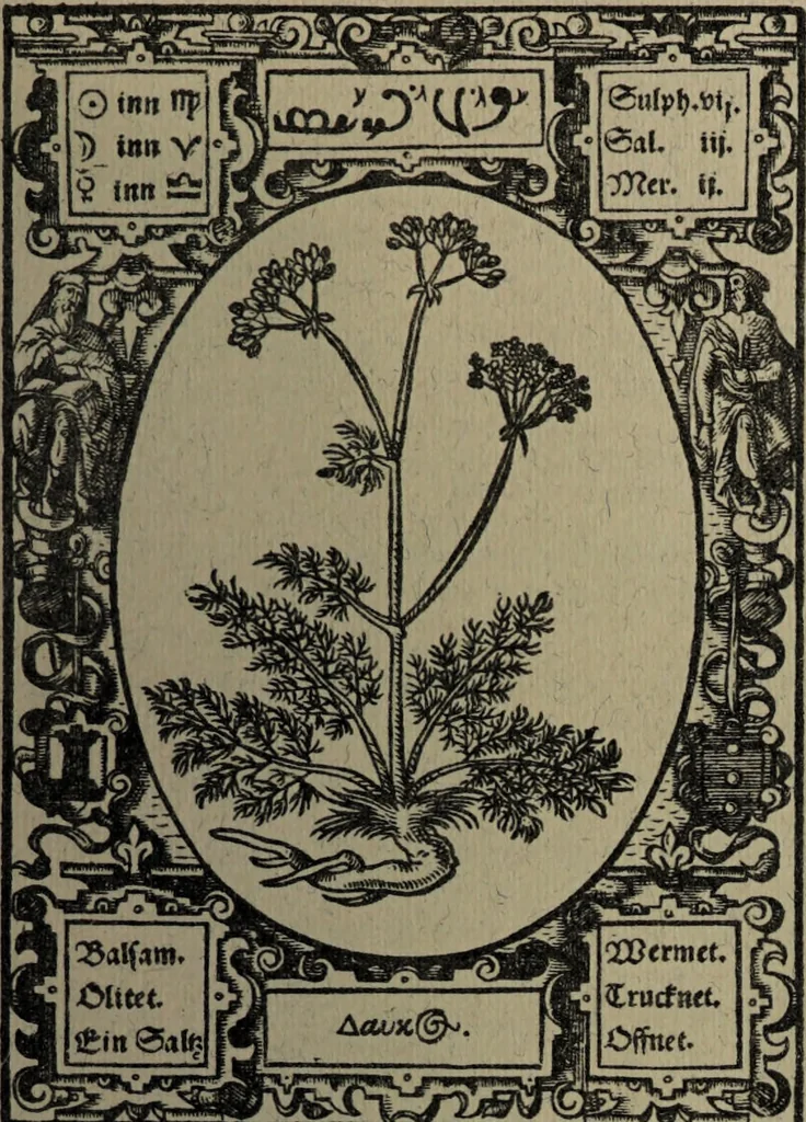 An illustration from Historia unnd Beschreibung Influentischer, Elementischer und Natürlicher Wirckungen, aller fremden unnd heimischen Erdgewechssen : auch irer Subtiliteten, sampt Warhasstiger und künstlicher Conterfeitung derselbigen, auch aller teiler, Innerlicher und eüfferlicher glider am menschlichen Cörper, nebend fürbildung aller zu der Extraction dienstlichen Instrumenten, auch deren gebrauch, und alle zu erhaltung der gesundheit notwendigen Processen gemeiné nutz zu gut / durch Leonhardt Thurneysser zum Tuhrn., 1922, leaf 79