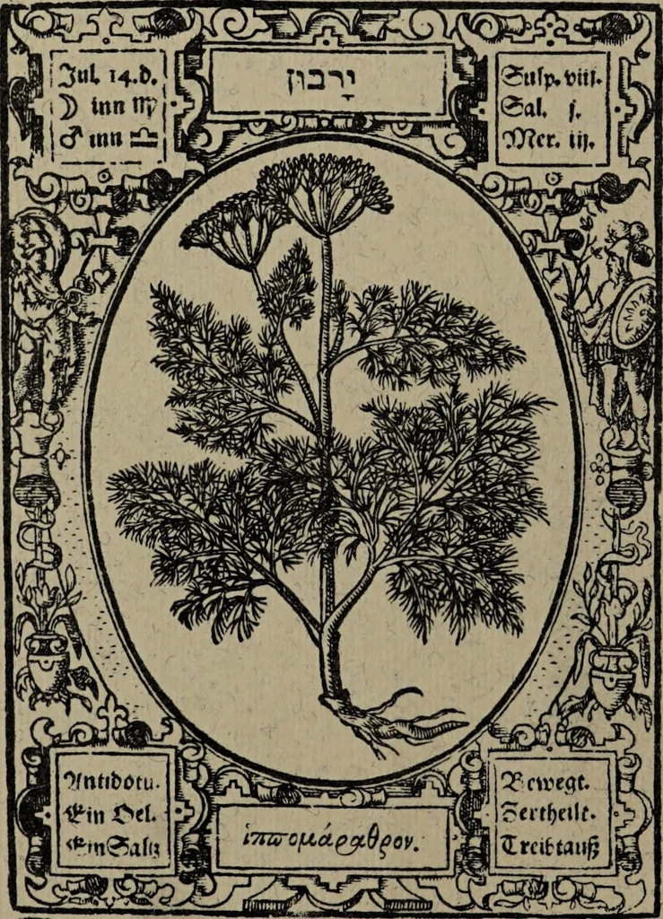 An illustration from Historia unnd Beschreibung Influentischer, Elementischer und Natürlicher Wirckungen, aller fremden unnd heimischen Erdgewechssen : auch irer Subtiliteten, sampt Warhasstiger und künstlicher Conterfeitung derselbigen, auch aller teiler, Innerlicher und eüfferlicher glider am menschlichen Cörper, nebend fürbildung aller zu der Extraction dienstlichen Instrumenten, auch deren gebrauch, und alle zu erhaltung der gesundheit notwendigen Processen gemeiné nutz zu gut / durch Leonhardt Thurneysser zum Tuhrn., 1922, leaf 86