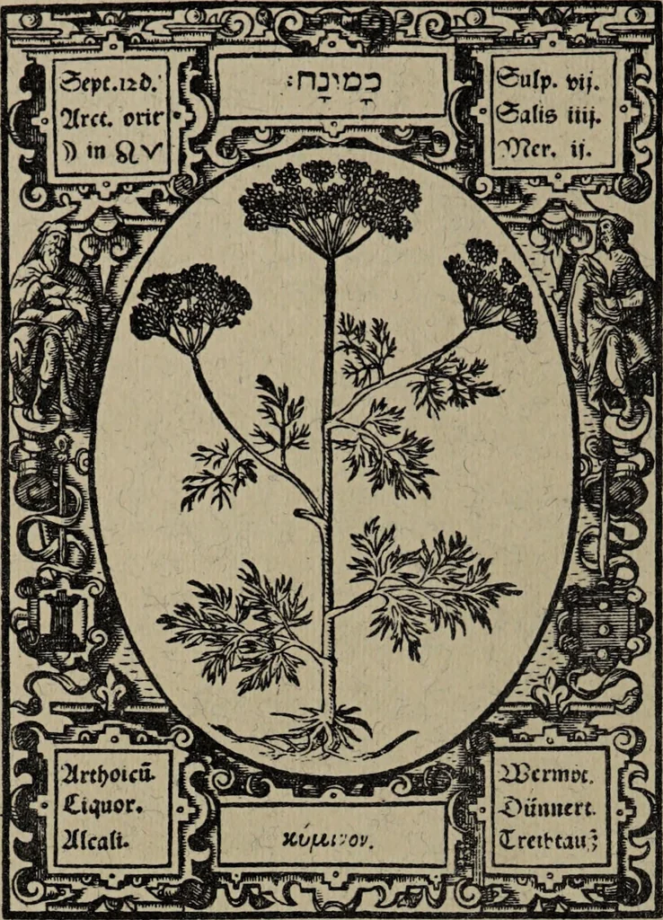 An illustration from Historia unnd Beschreibung Influentischer, Elementischer und Natürlicher Wirckungen, aller fremden unnd heimischen Erdgewechssen : auch irer Subtiliteten, sampt Warhasstiger und künstlicher Conterfeitung derselbigen, auch aller teiler, Innerlicher und eüfferlicher glider am menschlichen Cörper, nebend fürbildung aller zu der Extraction dienstlichen Instrumenten, auch deren gebrauch, und alle zu erhaltung der gesundheit notwendigen Processen gemeiné nutz zu gut / durch Leonhardt Thurneysser zum Tuhrn., 1922, leaf 98