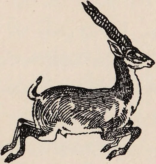 An illustration from The discovery of witches : a study of Master Matthew Hopkins, commonly call'd Witch finder generall / by the Rev. Montague Summers, together with a reprint of The discovery of witches from the rare original of 1647., 1928, leaf 7