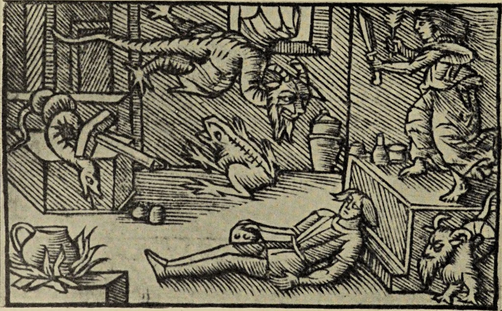 An illustration from Le musée des sorciers : mages et alchemistes / par Grillot de Givry., 1929, leaf 156