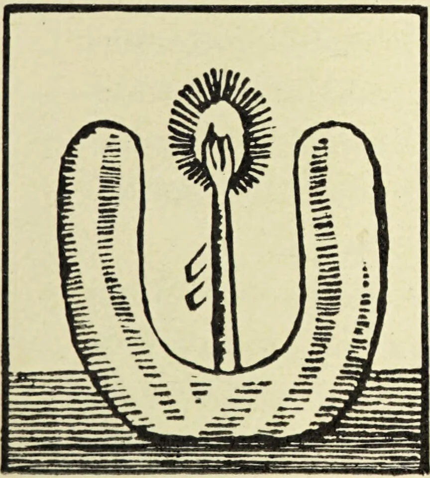 An illustration from Le musée des sorciers : mages et alchemistes / par Grillot de Givry., 1929, leaf 211