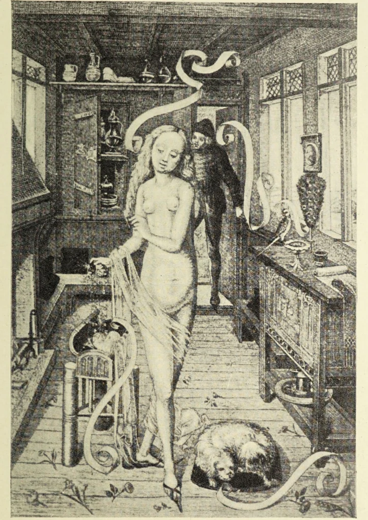 An illustration from Le musée des sorciers : mages et alchemistes / par Grillot de Givry., 1929, leaf 221