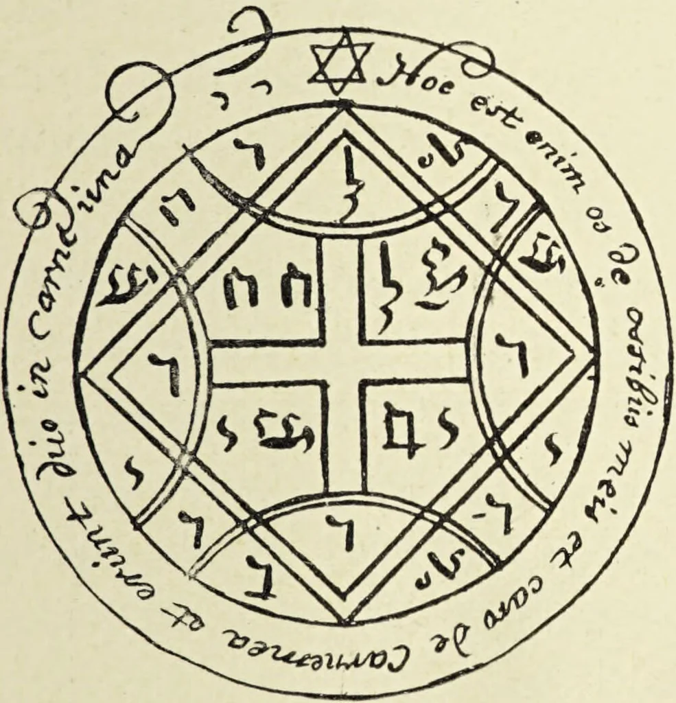 An illustration from Le musée des sorciers : mages et alchemistes / par Grillot de Givry., 1929, leaf 223