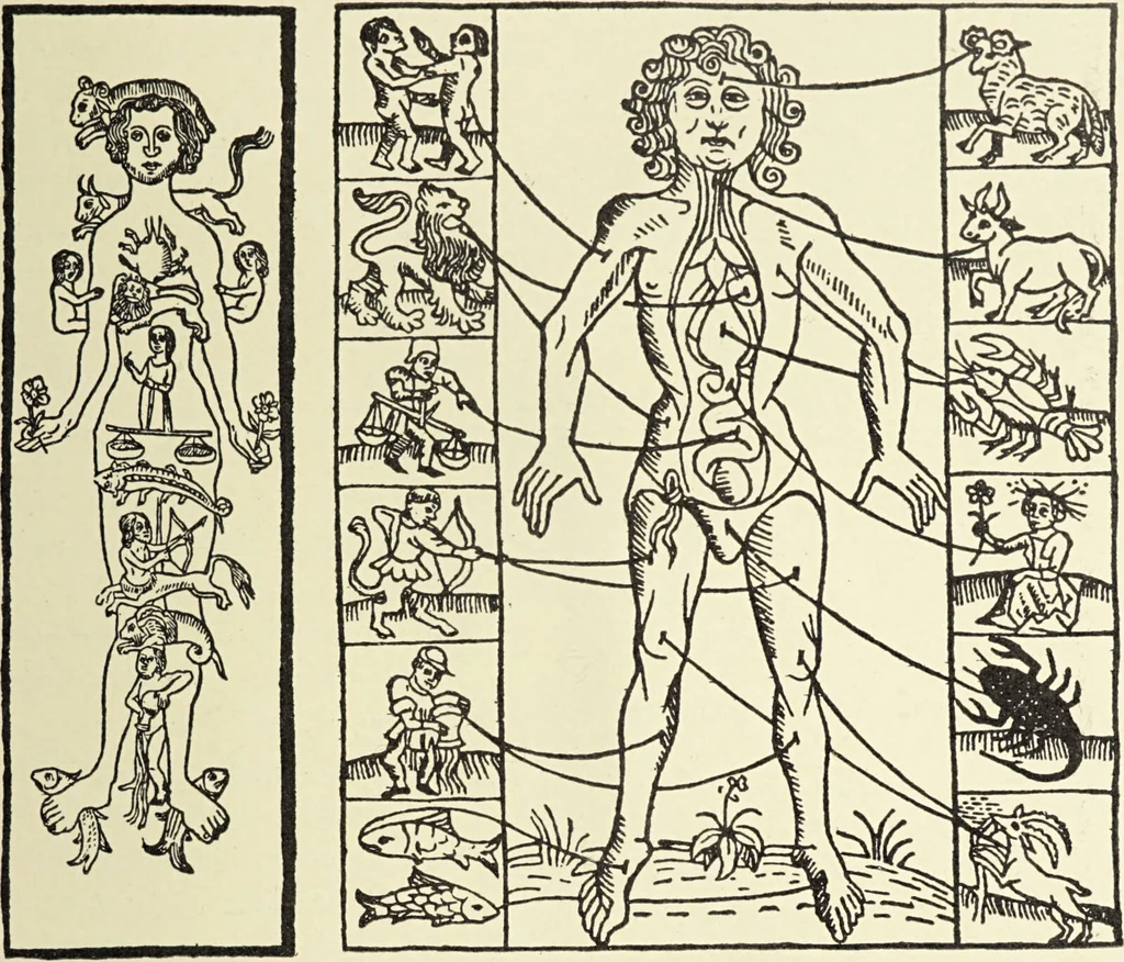 An illustration from Le musée des sorciers : mages et alchemistes / par Grillot de Givry., 1929, leaf 287