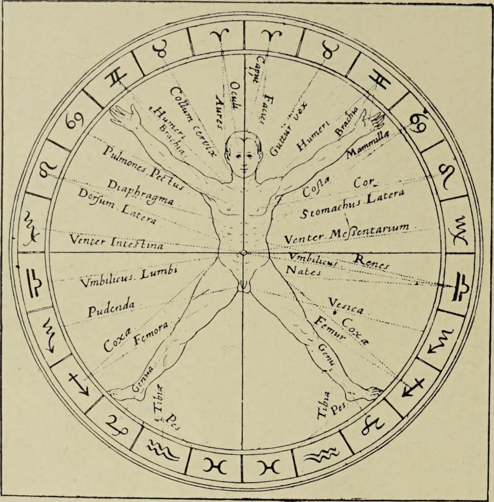 An illustration from Le musée des sorciers : mages et alchemistes / par Grillot de Givry., 1929, leaf 288