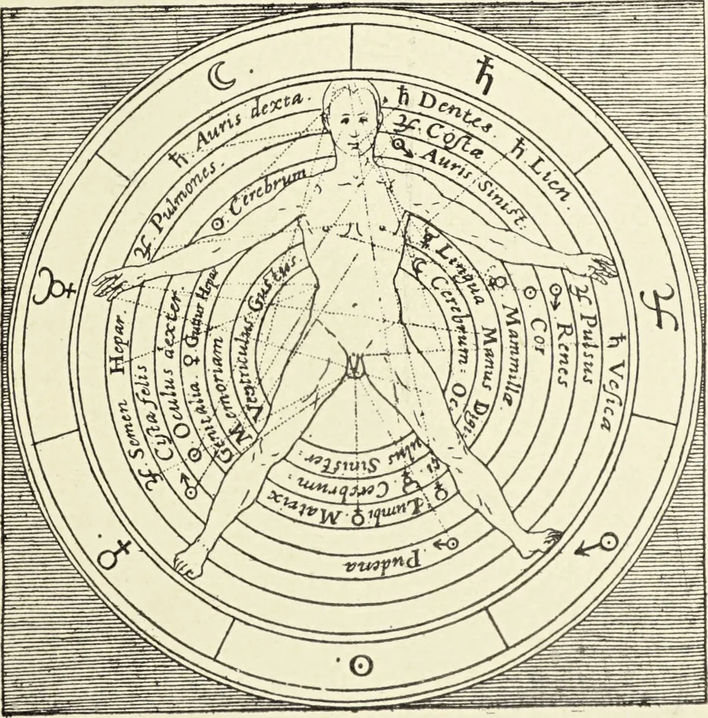 An illustration from Le musée des sorciers : mages et alchemistes / par Grillot de Givry., 1929, leaf 289