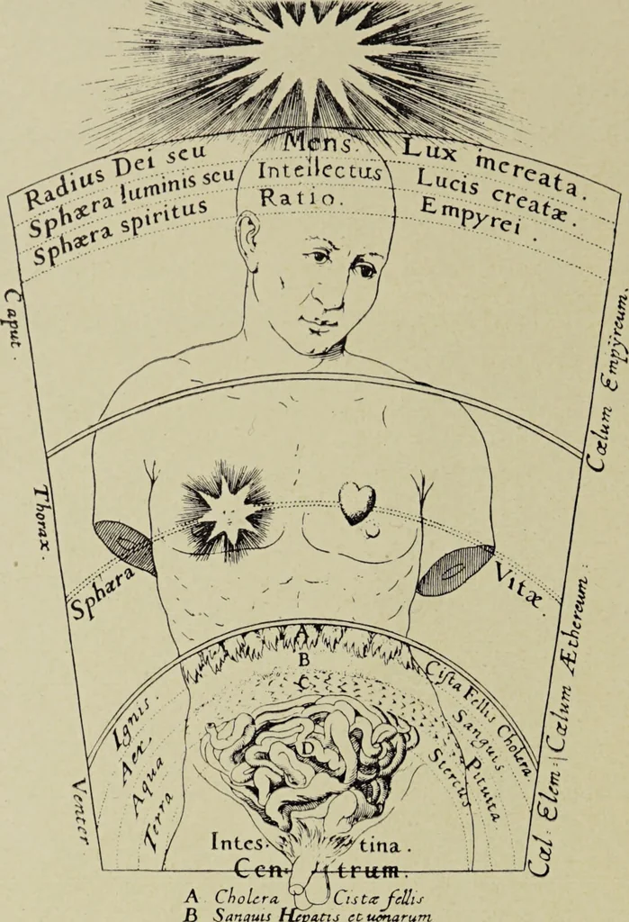 An illustration from Le musée des sorciers : mages et alchemistes / par Grillot de Givry., 1929, leaf 292