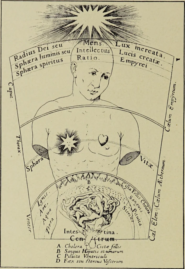 An illustration from Le musée des sorciers : mages et alchemistes / par Grillot de Givry., 1929, leaf 292