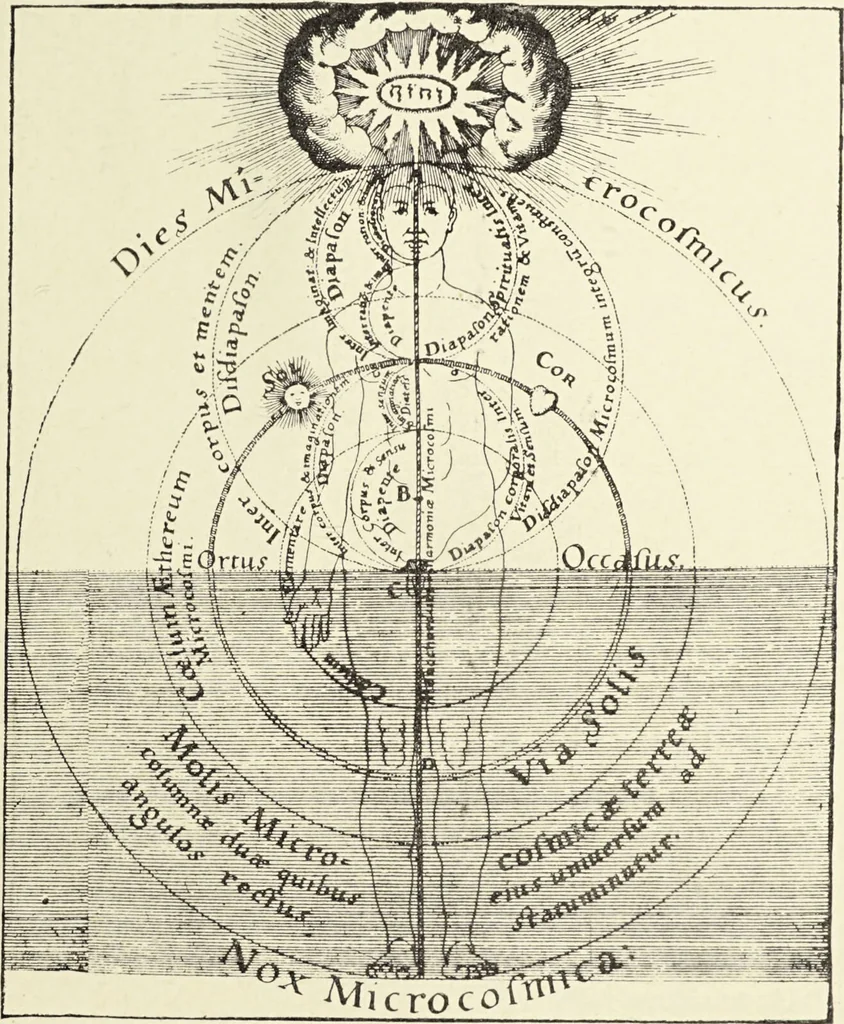 An illustration from Le musée des sorciers : mages et alchemistes / par Grillot de Givry., 1929, leaf 293