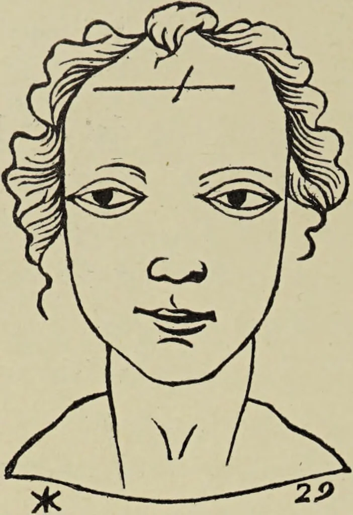 An illustration from Le musée des sorciers : mages et alchemistes / par Grillot de Givry., 1929, leaf 300
