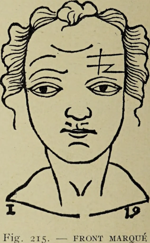 An illustration from Le musée des sorciers : mages et alchemistes / par Grillot de Givry., 1929, leaf 300