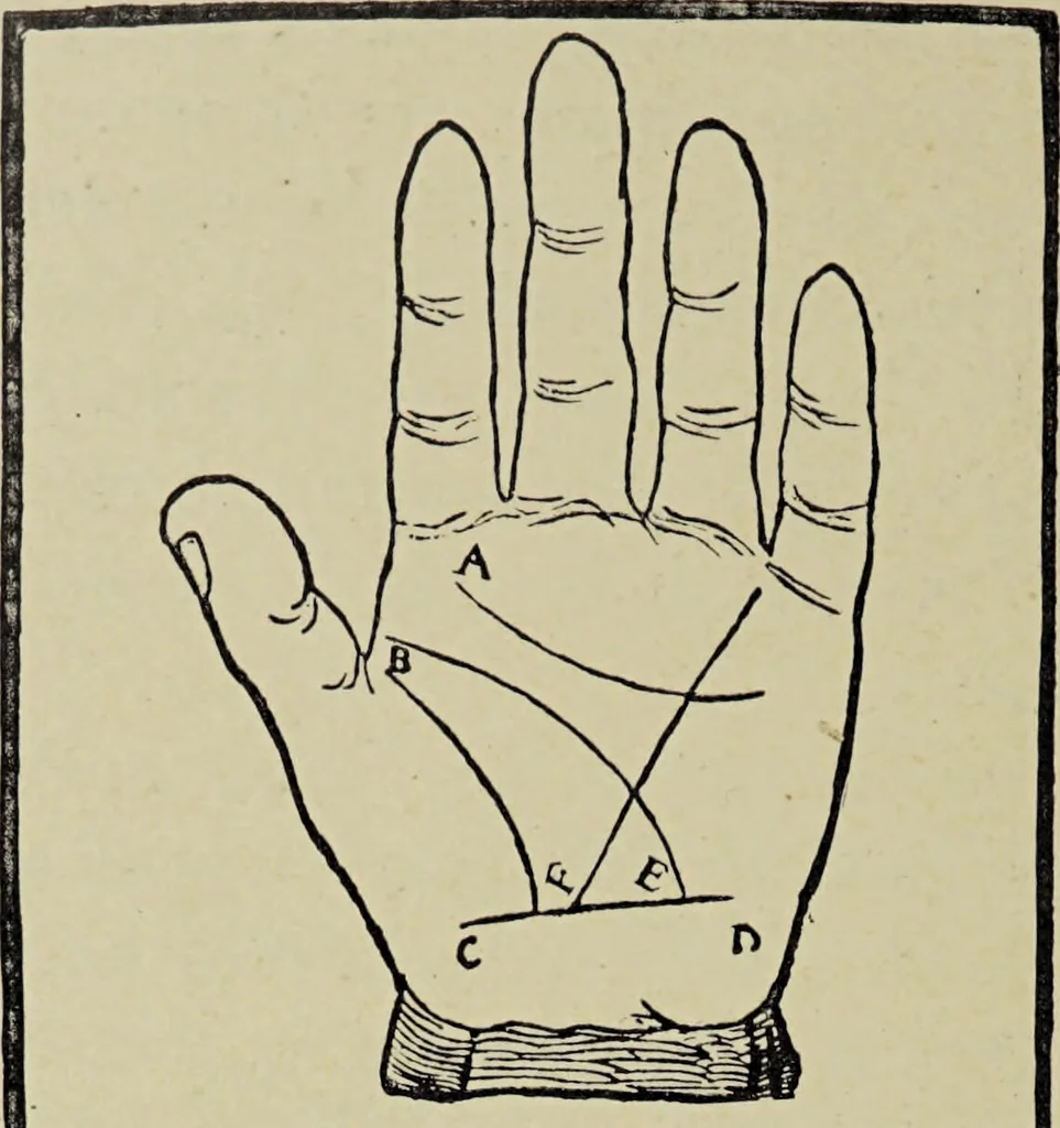 An illustration from Le musée des sorciers : mages et alchemistes / par Grillot de Givry., 1929, leaf 312