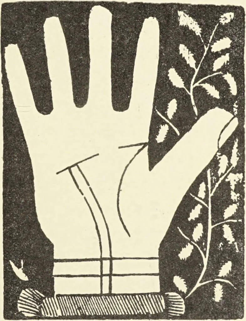 An illustration from Le musée des sorciers : mages et alchemistes / par Grillot de Givry., 1929, leaf 317