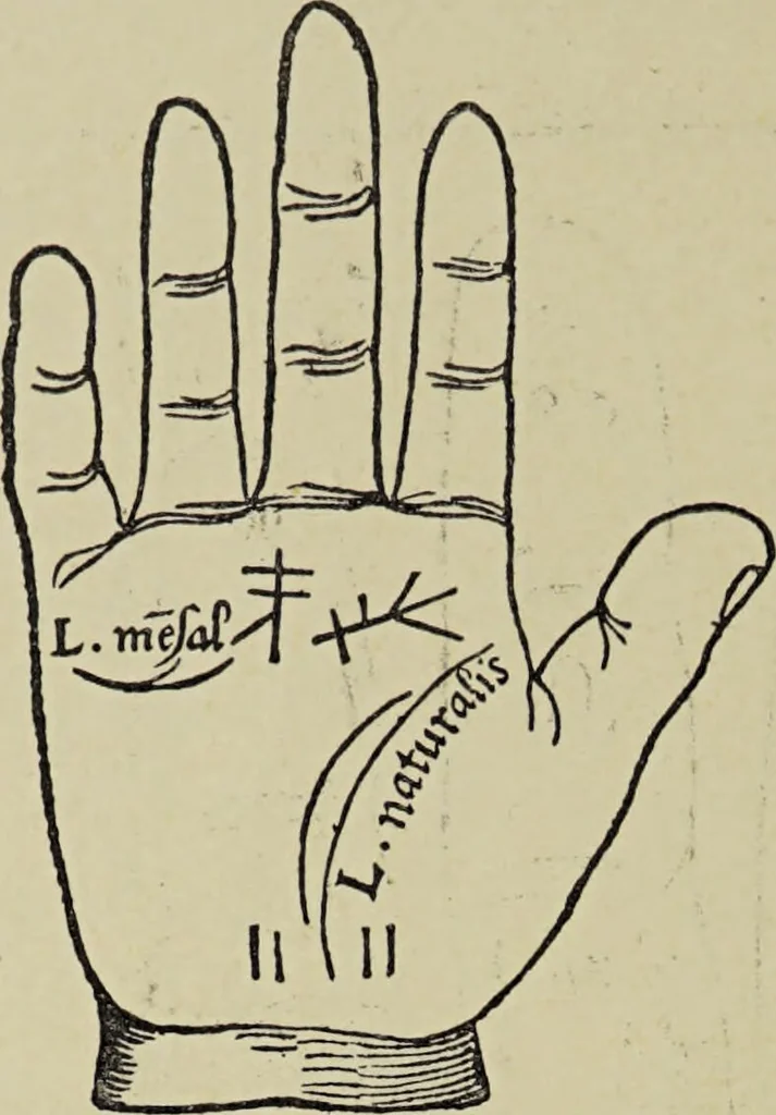 An illustration from Le musée des sorciers : mages et alchemistes / par Grillot de Givry., 1929, leaf 320