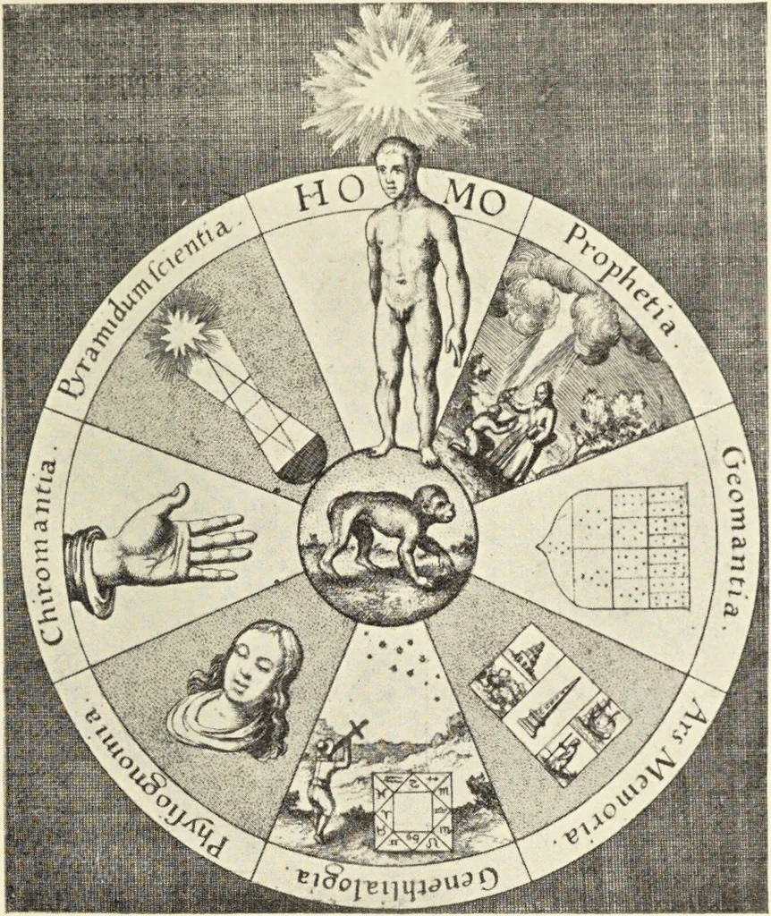 An illustration from Le musée des sorciers : mages et alchemistes / par Grillot de Givry., 1929, leaf 361